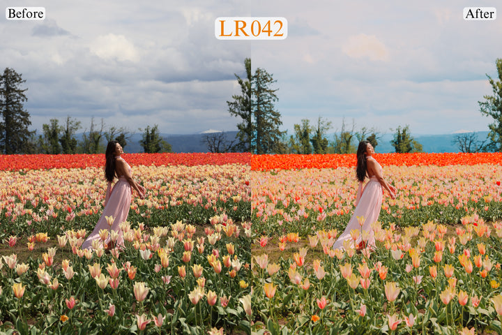 Must Have Lightroom Presets