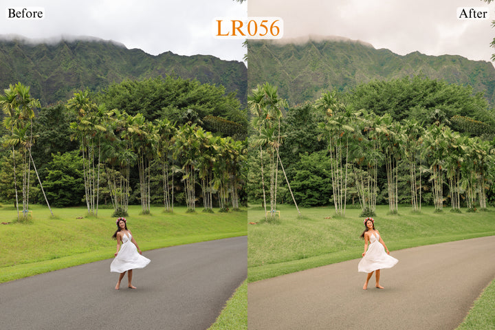 Tropical Lightroom Presets