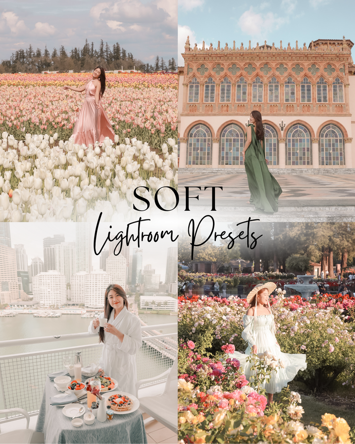 Exclusive Collection - 133 Lightroom Presets